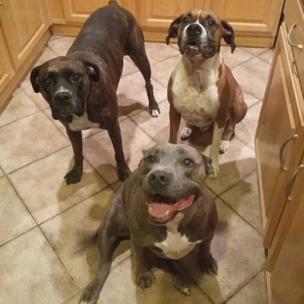 Morning Coffee With @bascalcat - Picture 8 of 16